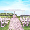 Picture of 10'x20' Outdoor Canopy Tent