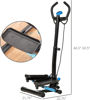 Picture of Fitness Workout Twist Stepper Machine